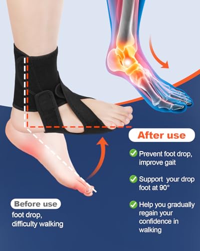 Foot Drop Brace Adjustable Foot Brace for Walking, Ankle Foot Orthosis Provide Foot Drop and Ankle Support, for Walking with Shoes, Socks, or Barefoot, for MS, TBI, Stroke, Use Day & Night, Includes a Massage Ball Detail