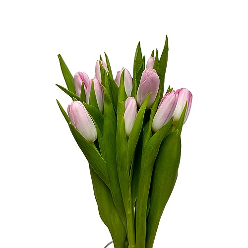 next day delivery 20 yellow tulips fresh cut flowers wheat field bouquet gifts for home decoration birthdays friendship and love pink