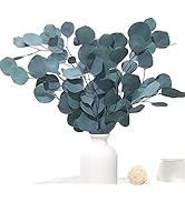 Preserved Dried Eucalyptus Stems, Blue Real Greenery Branches, 7-11 PCS Silver Dollar Leaves for ...