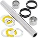 1978-1981 Yamaha Sr500 All Balls Swingarm Bearing Kit