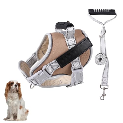 pxXgn[lXAȂg[jOppn[lXAnh5tB[ǧp[VtA^A^A^ybg̎U⃉jOɓK߉\ȔˌpxXg,F,L