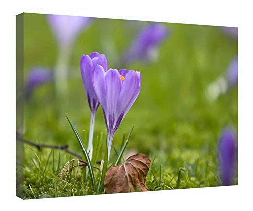 Impression sur toile fleurs de printemps haut de gamme avec cadre en bois naturel