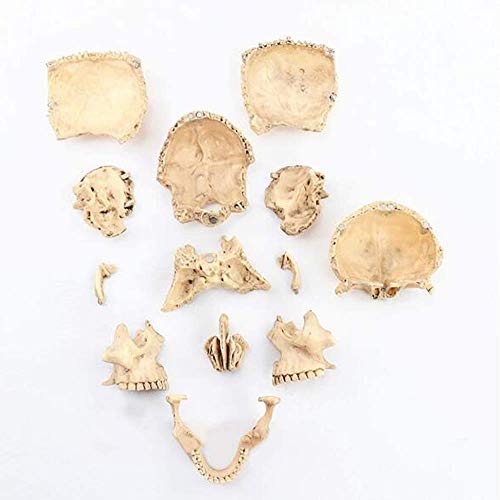 Calavera, Home Imagen adicional