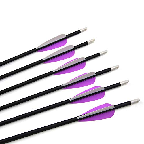 Sharrow Archery Carbon Arrows 30 Inch Hunting Arrows Target Practice Spine 500 With 3" Arrow Vanes Removable Tips Arrow Quiver For Recurve & Compound Bo (12 Pcs Arrow) #TOP4