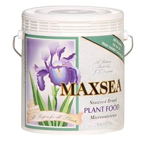 Maxsea All Purpose 16-16-16 Plant Food 6 lb.