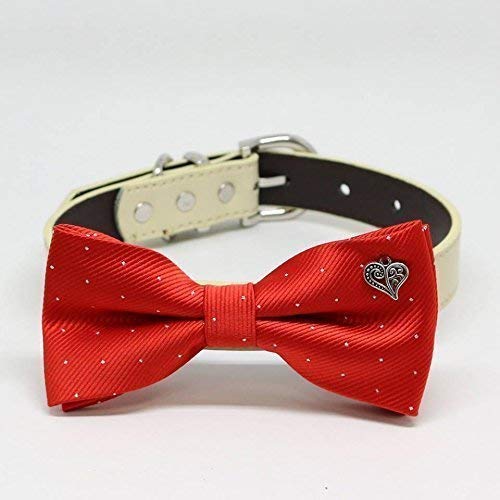 red bow dog collar
