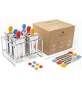 ecozoi Stainless Steel Popsicle Molds, 6 Ice Popsicle Makers, 6 Stainless Steel Sticks, 12 Silico...