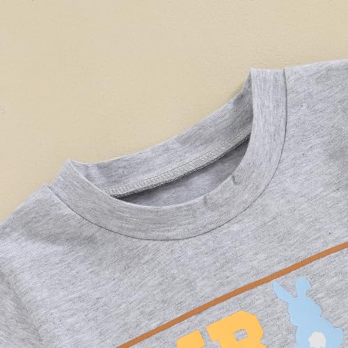 Image of BeQeuewll Toddler Baby Boy Easter Outfit Letter Bunny Print Short Sleeve T-Shirt and Shorts Summer Clothes Set