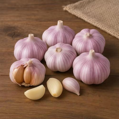 Garlic Bulb (2 Pounds), Fresh red HARDNECK Garlic Bulb for Planting and Growing Your OWN Garlic OR Eating