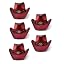 F-Red5PCS