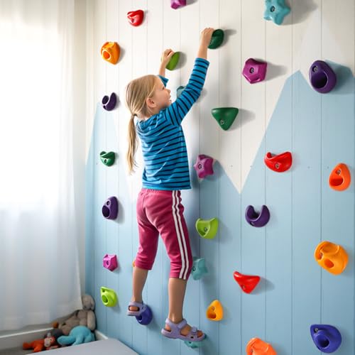 image for TOPNEW 36PCS Rock Climbing Holds for Kids, Rock Wall Holds with Hardwa