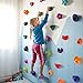 TOPNEW 36PCS Rock Climbing Holds for Kids, Rock Wall Holds with Hardware - Climbing Rocks for Indoor Outdoor Playground Climbing Wall