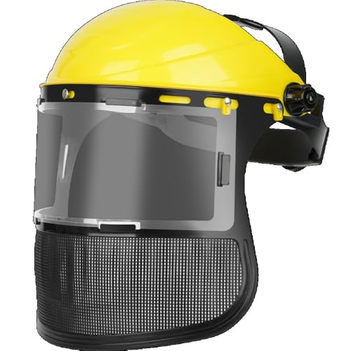 [DancJulie] Ŋ@ph}XNhlbg_g}[@`F[\[یJo[lbgttFCX}XNXN[ (CG[ + \̓XN[ 1 ) [sAi]