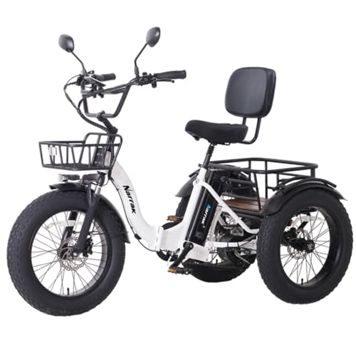 NARRAK S180 Electric Trike