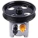 ECCPP 21-5283 Power Steering Pump Power Assist Pump Fit for 1999-2004 Volvo C70, 2001-2004 Volvo S60, 1999-2000 Volvo S70, 1999-2005 Volvo S80, 1999-2004 Volvo V70, 2003-2004 Volvo XC70