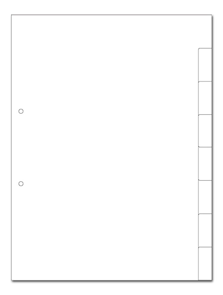 Kartonregister A4 8-teilig blanko weiss, 2-fach gelocht, 40er Pack