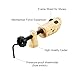 EchoDone Pair of 2 Way Wood Shoe Trees for Men Shoe Stretcher Adjustable Unisex Shaper for Shoe Large Size for Men and Women, Women's Size 10 to 13.5 Man's Size 9 to 13