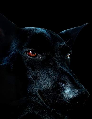 Black Dog Black Paper Journal: Dot Grid Notebook with Dotted Black Pages | Scary Black Hound Dog with Red Eyes | Large Black Notebook to Write, Draw ... Pencils, Metallic Markers, Gel Ink Wax Pens