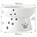 NECOICHI Raised Cat Food Bowl, Stress Free, Backflow Prevention, Dishwasher and Microwave Safe, Made to EC & ECC European Standard (Fuji Limited Edition)