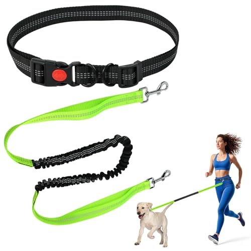 VGECEE Grigio Guinzaglio Cani Mani Libere, 70cm-120cm Prolunga Elastica per Guinzaglio con Cuciture Riflettenti Guinzaglio per Cane Retrattile Guinzaglio Active Guinzaglio da Jogging per Cani 15-60kg