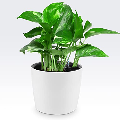 HEIHAK 4 Pack 7 Inch Self Watering Planter for Indoor Plants, White Decorative Round Plastic Self Watering Pots with Level Indicators for Soil Planting, Flowers, Herb, African Violet, Succulent