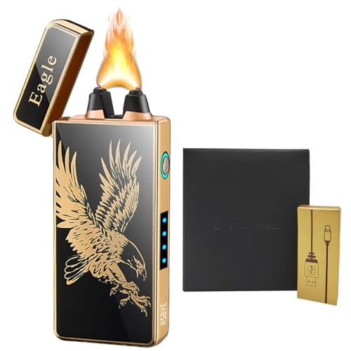 RSBYE Electric Plasma Arc Lighter - USB Rechargeable, LED Battery Indicator, Eagle Candle Lighter, Butane Free, Gift for Man