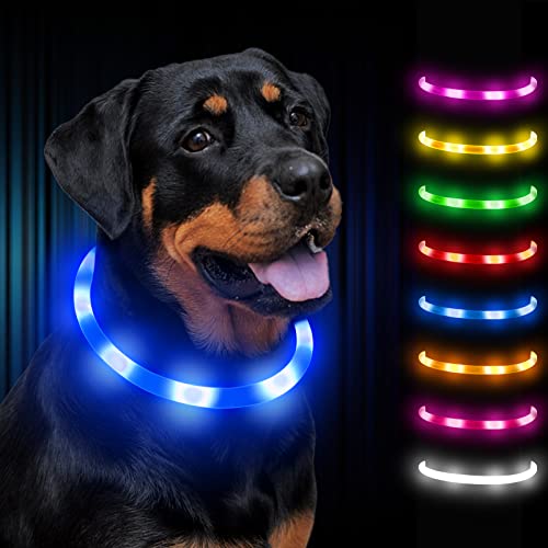 Dynmeow Collier Lumineux Chien,LED Rechargeable Collier Fluorescent pour Chien,8 Couleurs, 3 Modes Collier de Sécurité Réglable pour Petits Grands Chiens de Taille Moyenne Cover