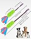 SCHITEC Hundespielzeug, Interaktives Spieltrainingsseil Hunde Spielzeug, Quietschendes Tauziehspielzeug für Welpen, Kleine, Mittlere und Große Hunde