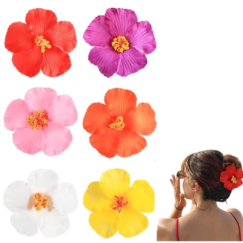 nCAt[wANbv vA  ob^ nCrXJX [Yob^  wAANZT[ oP[V r[` p[eB[ p 6