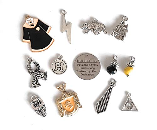 Seashell Crafter 11 Charms Hog Wart House School of Wizardy and Witchcraft Harry Book/Movie Theme Charms Antique Silver Zinc Alloy (H House without Jump Rings)
