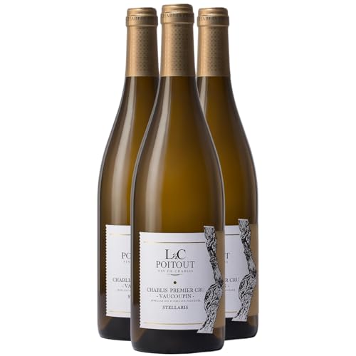 Chablis 1er Cru Vaucoupin 2023 – Domaine LC Poitout – Chardonnay de Borgoña en 3x75cl Chablis 1er Cru Vaucoupin 2023 – Domaine LC Poitout – Chardonnay de Borgoña en 3x75cl