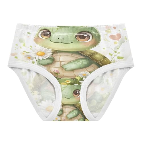 Toddler Girls's Underwear 2T 202b8907