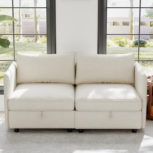 FANYE Loveseat Modular Storage Sectional Sofa Customizable Seatin...