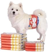 Amazon.co.jp: HONEYCARE ハニーケア ペットシーツ 薄型 犬 レギュラー