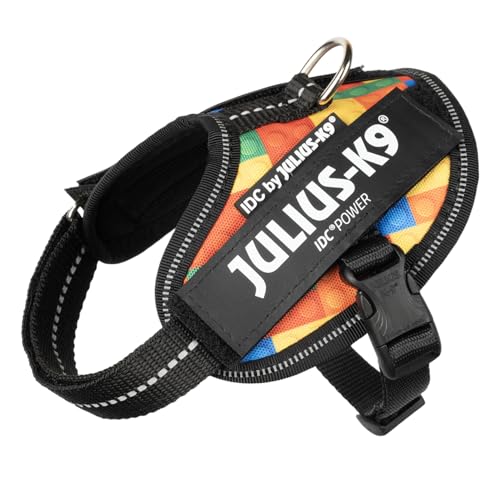 IDCp[n[lX, TCY: 2XS/xCr[2, ubN