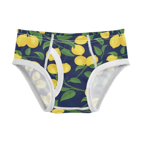 visesunny Boys Cotton Underwear Yellow Lemon with Green Leaf Printed Toddler Soft Training Briefs Size 2T-8Y for Kids