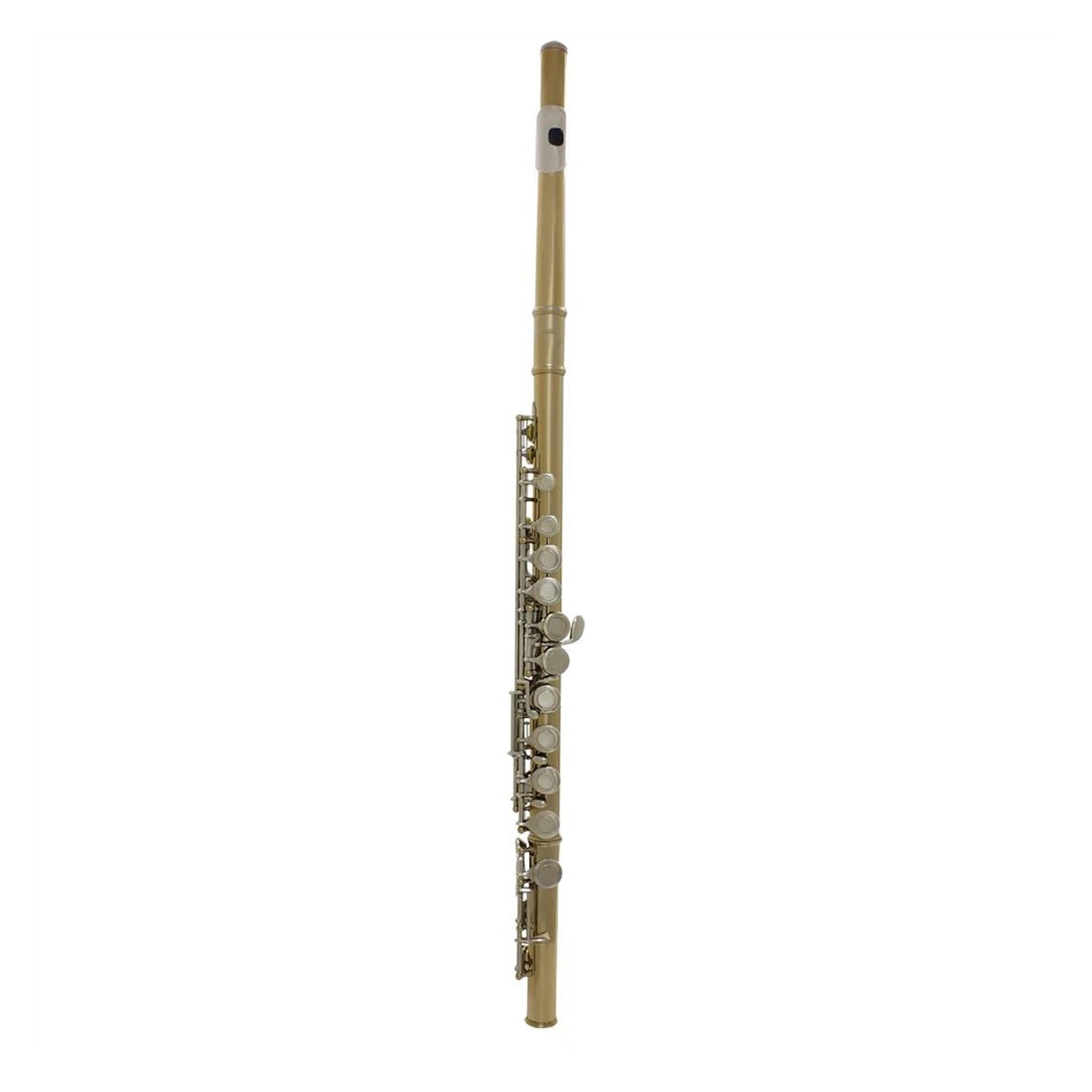 Flauta Transversal Flauta Dorada y Plateada con Orificio Cerrado Ranura C Flauta Instrumental para Estudiantes Principiantes con Estuche