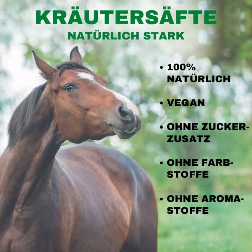 Stiefel Leberkräutersaft für Pferde, aus einer 100% naturbelassenen Kräutermischung, zur Unterstützung der Leberfunktion, mit Bitter- & Gerbstoffen, flüssig mit Dosierflasche, 1l