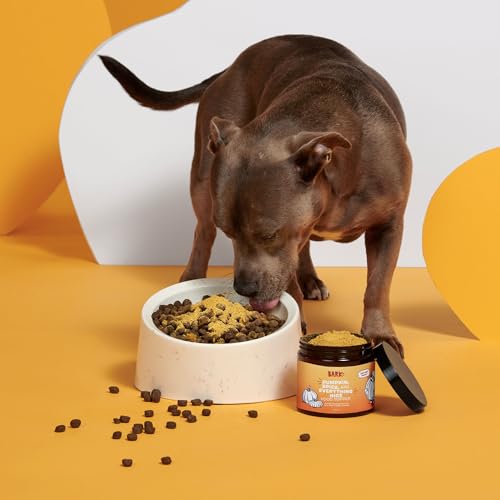 Image of Barkbox Pumpkin Spice Digestive Food Topper Broth Powder, All Life Stages, Large & Small Breeds - 6.1oz