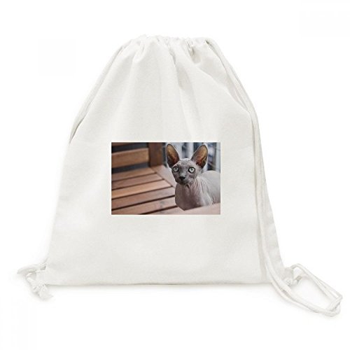 Sac à cordon en toile souple motif grand chat imprimé durable