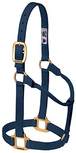 Weaver Original Non-Adjustable Nylon Horse Halter, Average, Navy
