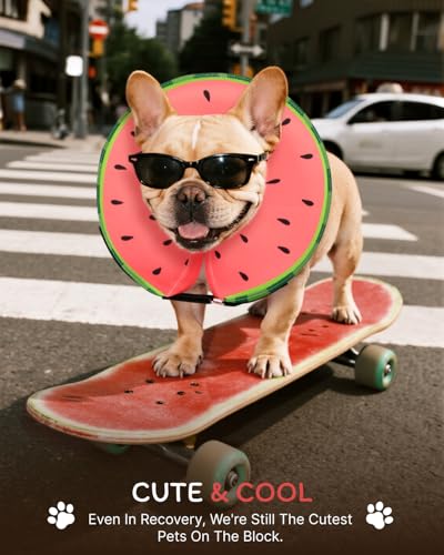 Image of MIDOG Inflatable Dog Cone, Soft Donut Recovery Collar, Red, Small