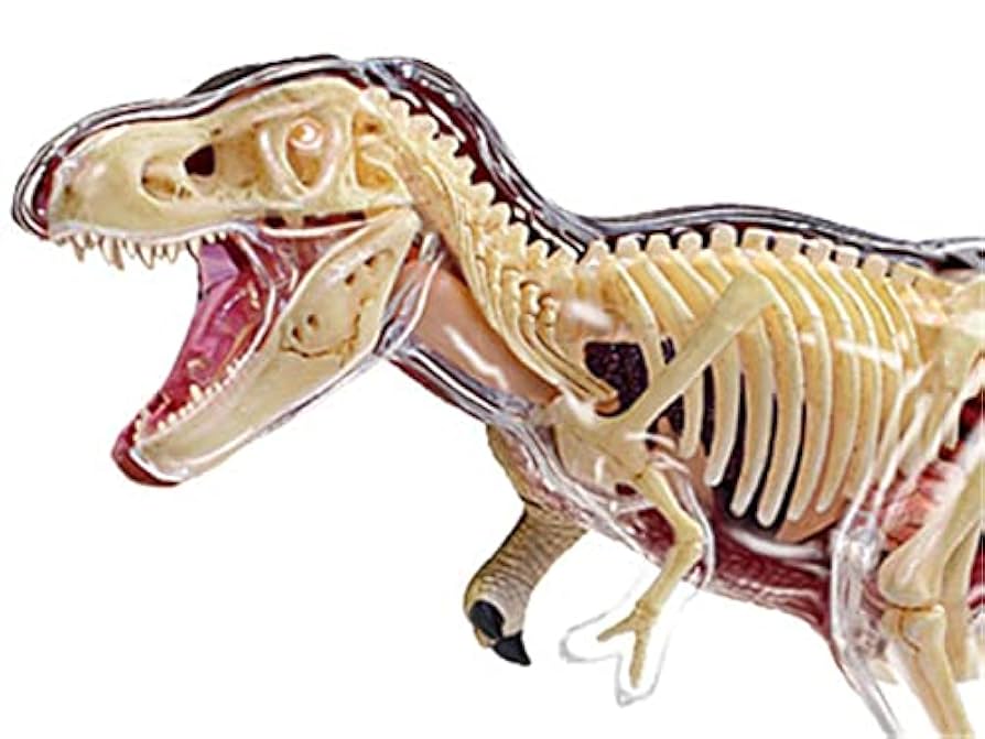 Amazon | ティラノサウルス恐竜モデル4Dパズル、4Dビジョン