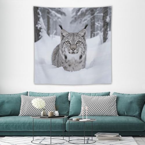 Toile de fond personnalisée lynx maccbn grand format et drapé mural style rétro bohème