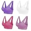 White Lilac Purple and Dark Pink