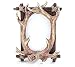 Burton Deer Antler Picture Frame