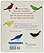 Birds: An Enchanting Story about a Girl Who Observes , Dreams, and Sings for Preschoolers