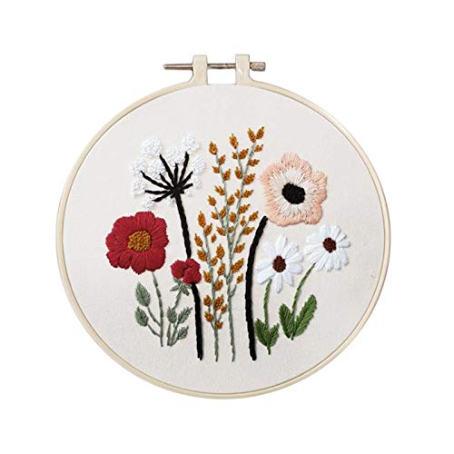 Colcolo 1 Conjunto de Kits para Iniciantes Embrodiery com Ferramentas Básicas DIY Needlework Gift -