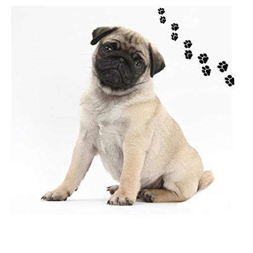 Andreas Round Silicone Mat Jar Opener, Fawn Pug Dog, 6.25 Inch