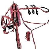 Aces Equine Harnais de trot rapide en PVC pour cheval Rose Noir Design stable Taille Shetland